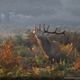 Image for article titled The Winning Images From National Geographic's 2014 Photo Contest